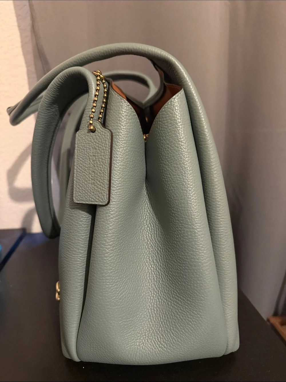 Coach Large Lana Bag in Sage